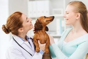 How long does pregnancy last in dogs?