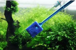Step-by-step process of cleaning an aquarium with fish at home